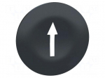 Actuator lens | 22mm | Harmony XB4 | Actuator colour: black