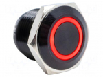Switch: vandal resistant | Pos: 2 | SPST-NO | PV6 | 2A/48VDC | IP65