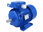 Motor: AC