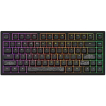 Computer keyboard dark project ALU81A Terra Nostra Black, G3MS Moonstone Switch, US
