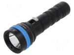 Torch: LED diving | L: 152mm | 10/1600lm | &Oslash;: 29&divide;45mm | IPX8
