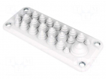 Multigate grommet | light grey | Holes no: 25 | -40&divide;100&deg;C | UL94V-0