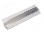 Profiles for LED modules | natural | L: 2m | LINEA-IN20 TRIMLESS