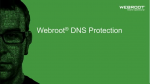 Webroot | DNS Protection with GSM Console | 2 year(s) | License quantity 10-99 user(s)
