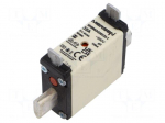 Fuse: fuse | 35A | 500VAC | gG | ceramic,industrial | NH000
