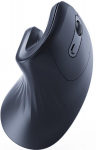 Computer mouse Gembird Ergonomic 6-button Wireless Optical Mouse Black