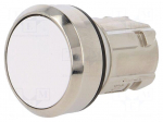 Switch: push-button | Stabl.pos: 2 | 22mm | white | Illumin: none | IP67