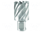 Drill bit | core | &Oslash;: 32mm | L: 63mm | high speed steel | weldon | 3/4"