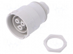 Connector: AC supply | push-in | female | 0.5&divide;2.5mm2 | 16A | 250V | IP68