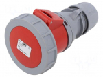 Connector: AC supply | socket | female | 32A | 415VAC | Shark | IEC 60309