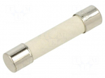 Fuse: fuse | 30A | 250VAC | 125VDC | quick blow | ceramic,cylindrical