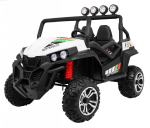 RoGer Grand Buggy 4x4 Electric Car