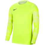 Nike Dry Park IV JSY LS GK Lime Goalkeeper Sweatshirt CJ6066 702 M