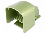 Switch: foot | Stabl.pos: 1 | SPDT | 15A/250VAC | 30N