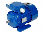 Motor: AC | 1-phase | 370W | 230VAC | 1320rpm | 2.68Nm | 7.4kg | IP54 | 3.2A