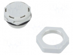 Pressure compensation device | IP68 | Thread: M20 | Body: light grey