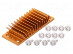 Heatsink: extruded | grilled | BGA | golden | L: 23mm | W: 58mm | H: 11.4mm