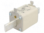 Fuse: fuse | quick blow | 100A | 500VAC | ceramic,industrial | NH1