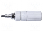 Socket | 4mm banana | 15A | 2.5kV | white | nickel plated | on panel