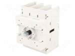 Switch-disconnector | Poles: 3 | screw type | 100A | GA