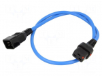 Cable | IEC C19 female,IEC C20 male | 1m | with IEC LOCK locking