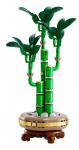 LEGO ICONS 10344 The Botanical Collection - Lucky Bamboo