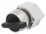 Switch: rotary | Stabl.pos: 2 | 22mm | black | Illumin: none | IP65 | Pos: 2