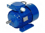 Motor: AC | 1-phase | 550W | 230VAC | 1360rpm | 3.86Nm | 9.6kg | IP54 | 3.9A
