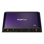 Multimeediam&auml;ngija BrightSign BrightSign XT1145 8K Ultra HD Black, Purple