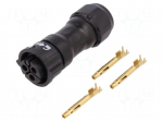 Connector: circular | female | plug | crimped | PIN: 3 | 14AWG&divide;12AWG