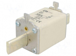 Fuse: fuse | quick blow | 125A | 500VAC | ceramic,industrial | NH1