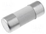 Fuse: fuse | aM | 100A | 500VAC | ceramic,cylindrical,industrial