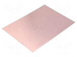 Laminate | FR4 | 1.2mm | L: 297mm | W: 210mm | Coating: copper