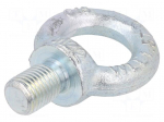 Lifting eye bolt | M22x36 | Head: eye | steel | zinc | DIN 580 | 50mm