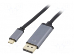 Adapter | DisplayPort 1.2,USB 3.2 Gen 1 | 1.8m | black