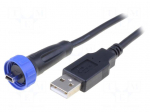 Cable | USB Buccaneer | USB A plug,USB B mini plug | 2m | IP68
