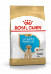 ROYAL CANIN SHN Breed Labrador Junior dry dog food - 12 kg