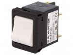 Circuit breaker | Urated: 240VAC | 60VDC | 10A | DPST | Poles: 2 | SNAP-IN