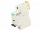 Circuit breaker | 230/400VAC | 12&divide;48VDC,72VDC | Inom: 32A | Poles: 1