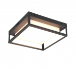 Trio Witham LED griestu lampa anthracite  677860142 4017807529326