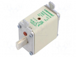 Fuse: fuse | 100A | 500VAC | aM | ceramic,industrial | NH00