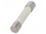 Fuse: fuse | 25A | 500VAC | 500VDC | quick blow | ceramic,cylindrical