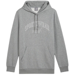 Puma Ess+ Logo LAB Gradient Hoodie FL Grey 681775 03 M