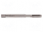 Tap | M12 | 1.75 | Holder: machine | high speed steel cobalt HSS-Co