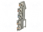 Splice terminal: rail | for DIN rail mounting | spring clamp | grey