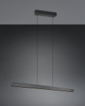 Trio Donegal LED piekarama lampa matt black brushed steel 333310232 4017807659412
