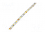 LED tape | white warm/cold white | Case (mm): 2835 | LED/m: 120 | 10mm