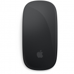 Apple Magic Mouse, mouse (black)