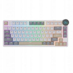 Computer keyboard Royal Kludge N80 Pearly Dawn,