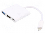 Adapter | USB 3.0,USB 3.1 | nickel plated | 0.2m | Colour: silver
